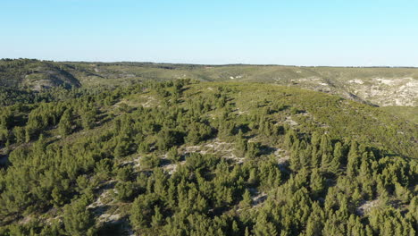 Luftaufnahme-Eines-Waldes-Auf-Einem-Hügel-Im-Süden-Frankreichs.-Trockene-Landschaft-Sommersonnenuntergang